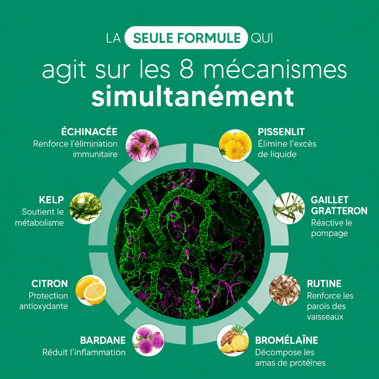 Nervia™ — Gélules de Drainage Lymphatique