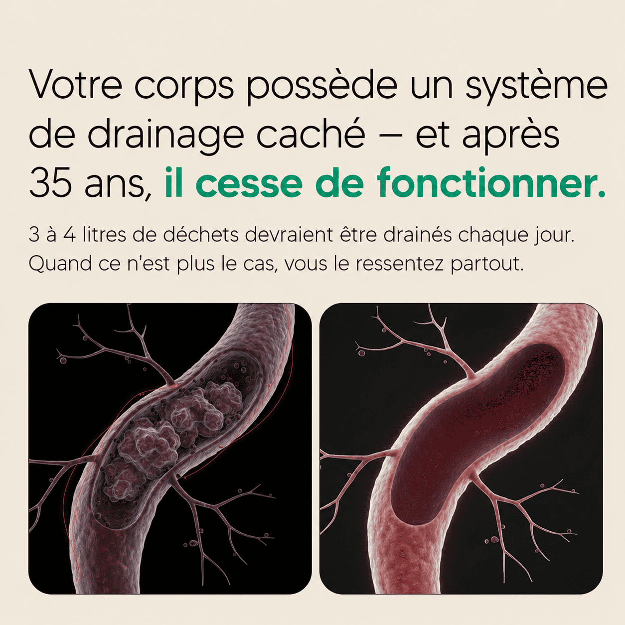 Nervia™ — Gélules de Drainage Lymphatique