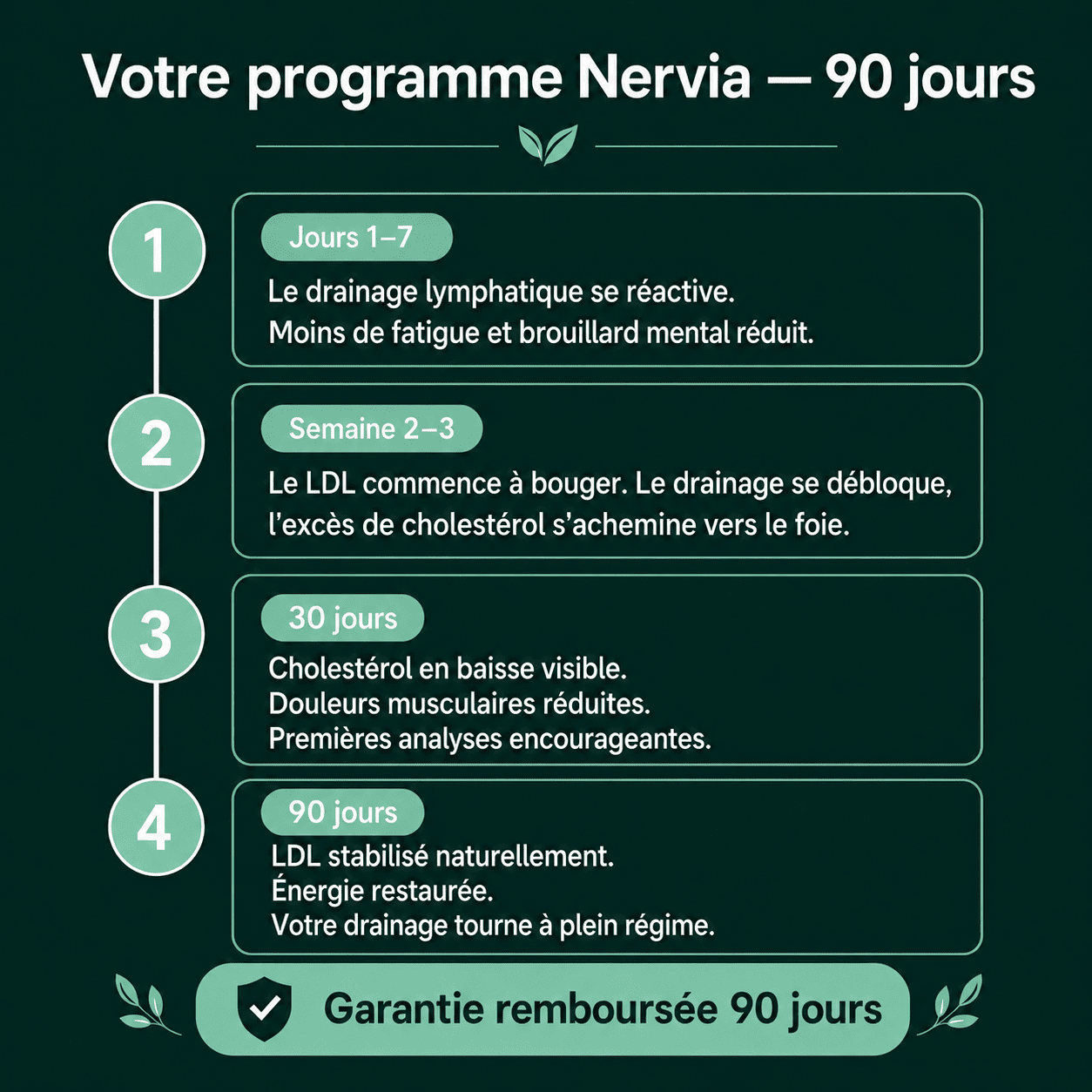 Nervia™ — Gélules de Drainage Lymphatique